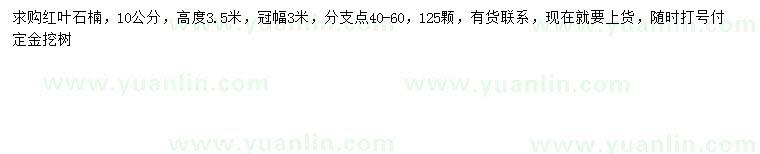 求購(gòu)10公分紅葉石楠