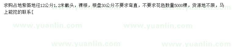 求購(gòu)地徑12公分紫薇