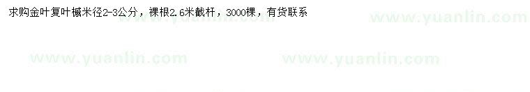 求購(gòu)米徑2-3公分金葉復(fù)葉槭