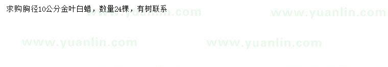 求購胸徑10公分金葉白蠟