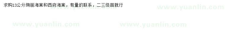 求購(gòu)13公分絢麗海棠、西府海棠