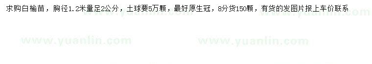 求購1.2米量2公分白榆