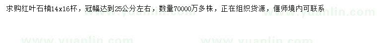 求購冠幅25公分左右紅葉石楠