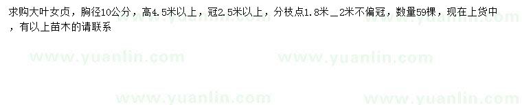 求購胸徑10公分大葉女貞