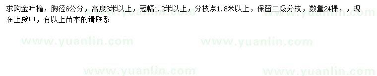求購胸徑6公分金葉榆