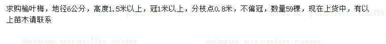 求購(gòu)地徑6公分榆葉梅