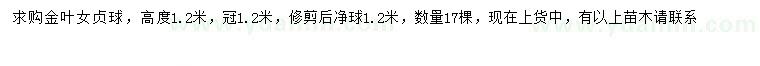 求購(gòu)冠幅1.2米金葉女貞球