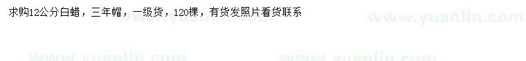 求購(gòu)12公分白蠟