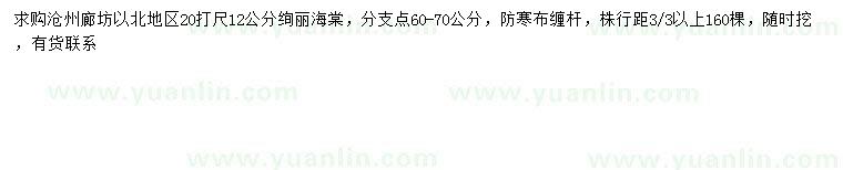 求購20量12公分絢麗海棠