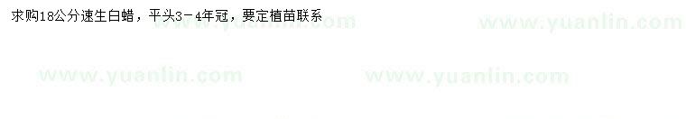 求購(gòu)18公分速生白蠟