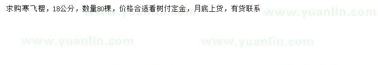 求購18公分寒飛櫻
