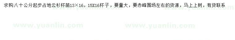 求購80公分以上云杉