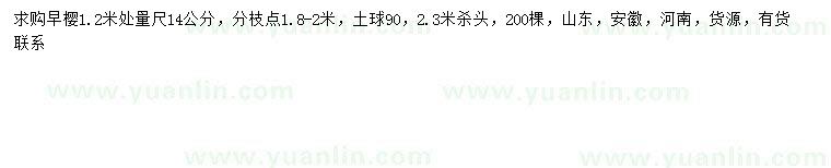 求購1.2米量14公分早櫻