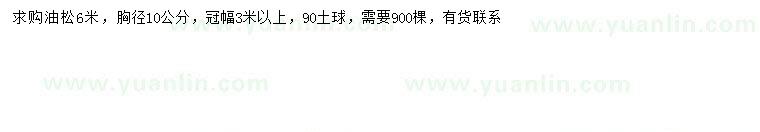 求購胸徑10公分油松