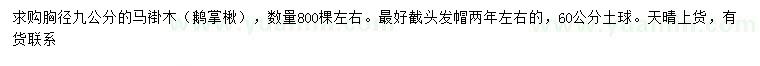 求購胸徑9公分馬褂木