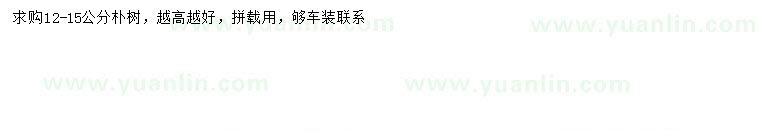 求購(gòu)12-15公分樸樹(shù)
