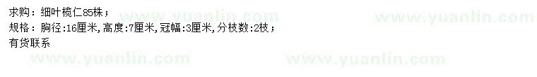 求購(gòu)胸徑16公分細(xì)葉欖仁