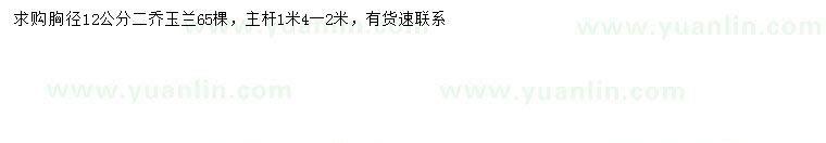 求購(gòu)胸徑12公分二喬玉蘭