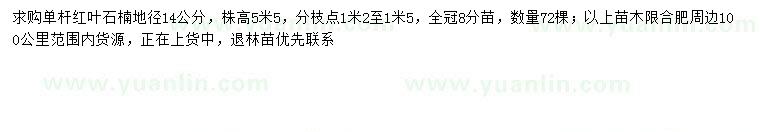 求購地徑14公分紅葉石楠