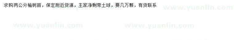 求購2公分榆樹