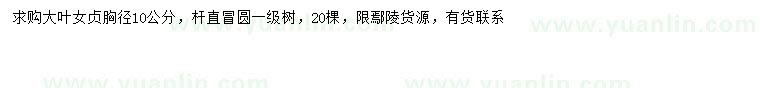 求購胸徑10公分大葉女貞