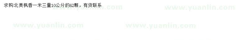 求購1.3米量10公分北美楓香