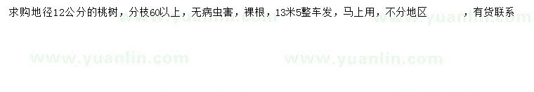 求購(gòu)地徑12公分桃樹