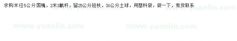 求購米徑5公分國槐