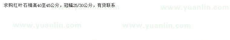 求購高40-45公分紅葉石楠
