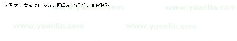 求購(gòu)高50公分大葉黃楊