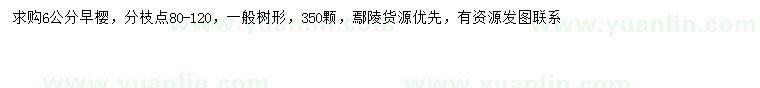 求購(gòu)6公分早櫻