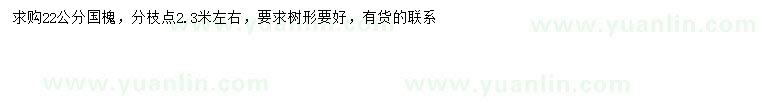 求購(gòu)22公分國(guó)槐