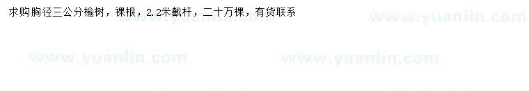 求購(gòu)胸徑3公分榆樹(shù)