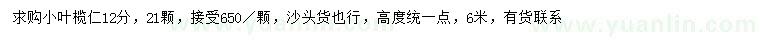 求購12公分小葉欖仁