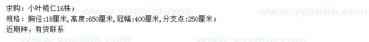 求購胸徑18公分小葉欖仁