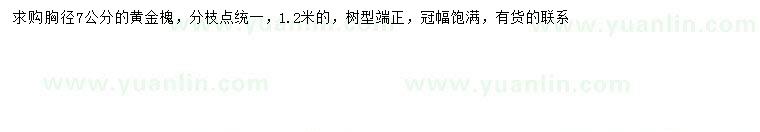 求購胸徑7公分黃金槐