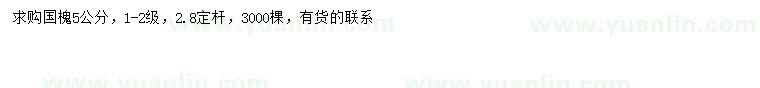 求購5公分國槐