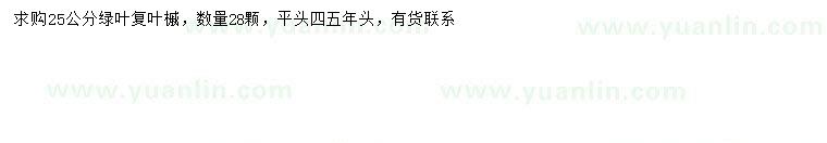 求購(gòu)25公分綠葉復(fù)葉槭