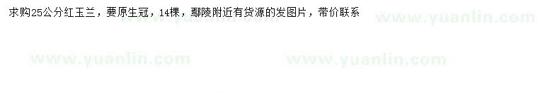 求購(gòu)25公分紅玉蘭