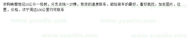 求購地徑10公分晚櫻
