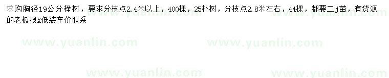 求購19公分櫸樹、25公分樸樹