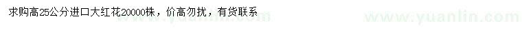 求購高25公分進口大紅花