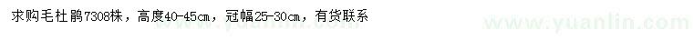 求購高40-45公分毛杜鵑