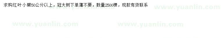 求購50公分以上紅葉小檗