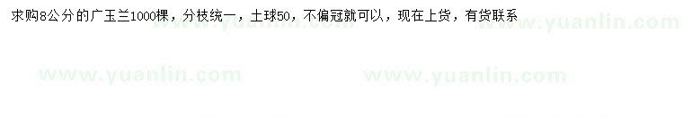 求購8公分廣玉蘭