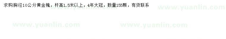 求購胸徑10公分黃金槐