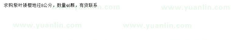 求購地徑8公分紫葉矮櫻