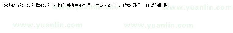 求購30量4公分以上國槐
