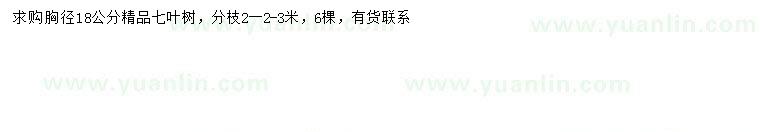求購胸徑18公分七葉樹