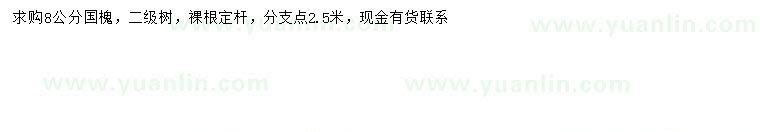 求購8公分國槐